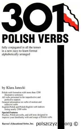 301 Polish Verbs 