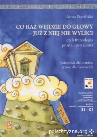 Co raz wejdzie do głowy - już z niej nie wyleci 